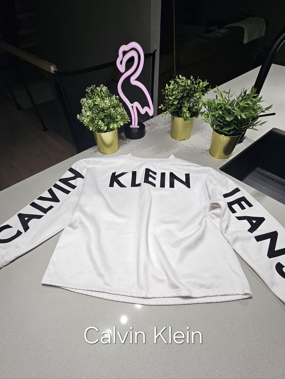 CALVIN KLEIN Iconic Hoodie Crewneck Blanc À Logo
